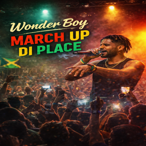 Wonder boy – Mashup D place